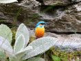 /album/fotogalerie-moje-outside-prace-/martinh-collection-outdoor-08-25-11-jpg/